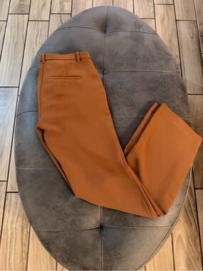 Women’s Aritzia Wilfred Dress Pants in Burnt Orange